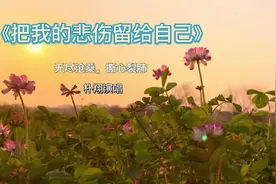 《把我的悲伤留给自己》唱出无尽沧桑，撕心裂肺.mp4视频封面