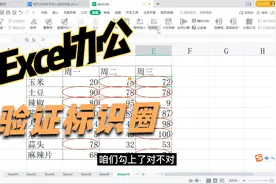 Excel表格中怎么给数据添加小圈圈，就是数据验证标识哦视频封面