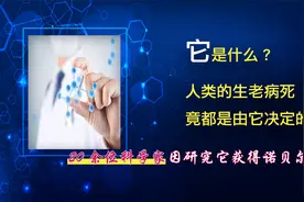 人类的生老病死都是由它决定的，它就是肽！