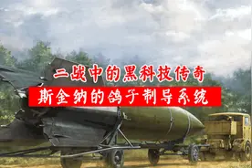 你绝对不知道的二战黑科技，斯金纳的鸽子制导系统。视频封面