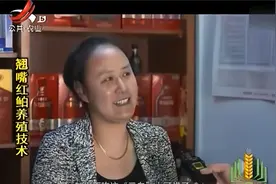 “太湖三白”是什么美味？白鱼翘嘴红鲌很独特，能够忍耐低氧环境视频封面