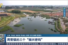 走进枣庄薛城，解锁周营镇的三个“振兴密码”视频封面