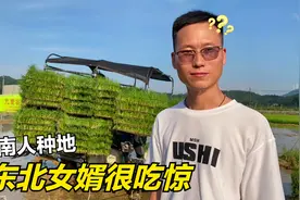 东北女婿回湖南农村，对啥都好奇，感叹南北种地方式大不同视频封面