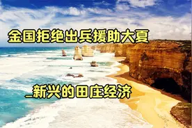 金国拒绝出兵援助大夏_新兴的田庄经济视频封面