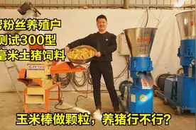 玉米棒子做颗粒饲料，养猪行不行？听说土猪吃这个好，测试300型视频封面