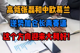 高瓴张磊和中欧葛兰逆势加仓长青赛道，这个方向迎来大利好！视频封面