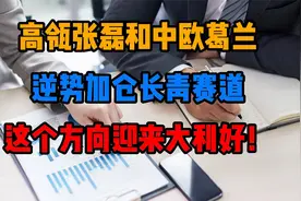 高瓴张磊和中欧葛兰逆势加仓长青赛道，这个方向迎来大利好！视频封面