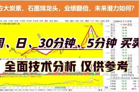 方大炭素，石墨烯龙头，业绩翻倍，未来潜力如何？多级别推演视频封面