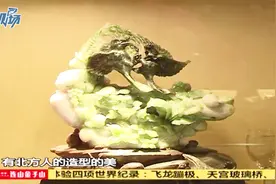 玉石雕刻大师王烨：妙手琢璞玉，巧思塑匠心视频封面