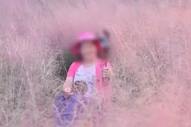 大妈组团闯网红花海拍照 全然不顾工作人员阻止视频封面