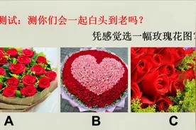 心理测试：测你们会一起白头到老吗视频封面