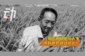 袁隆平的水稻人生：一生追逐“禾下乘凉梦” 号召年轻人做农业视频封面
