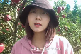 去年要搬迁今年还在卖苹果？兰州新区到底去不去，小佳说出心里话视频封面
