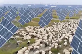 牧业与新能源结合：让青海塔拉滩从“一毛不拔”到“能源之地”视频封面