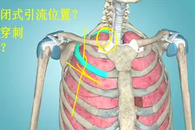 3D肺解剖（1）胸腔闭式引流位置？胸穿位置？-系统解剖学-外科学视频封面