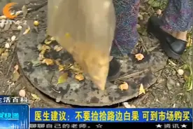 白果好吃，落地却“臭烘烘”，专家提醒不要徒手去捡！视频封面