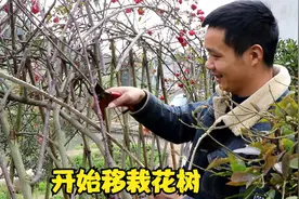 老屋准备拆除了，杨二娃居然说除了婆娘留下，其他都可以不要视频封面