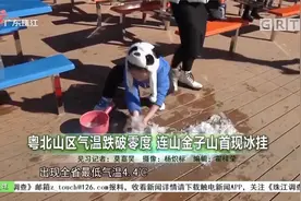 广东入冬成功！粤北山区气温跌破零度 连山金子山首现冰挂视频封面