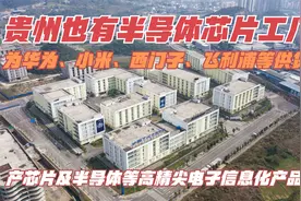 投20亿！贵州也有半导体芯片工厂，为华为、小米、飞利浦等供货！视频封面