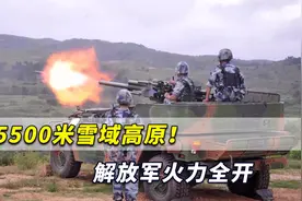 5500米雪域高原！解放军速射迫击炮火力全开，轻松摧毁“敌军”视频封面