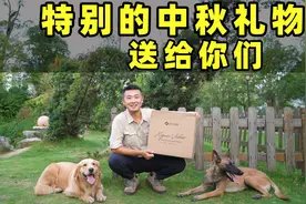 做了两年自媒体，收到西瓜视频特别的中秋礼物，太有仪式感了！视频封面