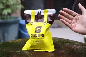 养花土壤碱化怎么办？园艺师教你，用硫酸亚铁，把土壤调成弱酸性视频封面
