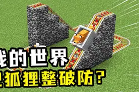 我的世界：怎么把狐狸整破防？让狐狸只能看坤坤，不能吃坤坤视频封面