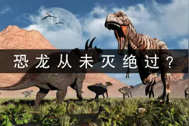 恐龙从未灭绝过？中科院院士提出惊人理论：恐龙后代在人类餐桌视频封面