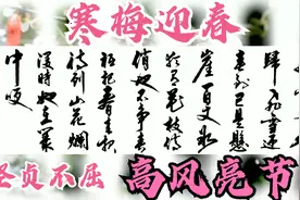 《咏梅》书法欣赏！伟人笔下的梅花坚贞不屈，高风亮节！百看不厌视频封面