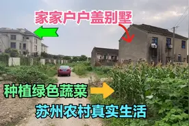 实拍苏州农村真实生活，家家都建别墅，买小车，种绿色蔬菜，羡慕视频封面