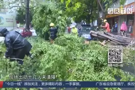 风雨中树倒伤人 汕头市多部门全力清障视频封面
