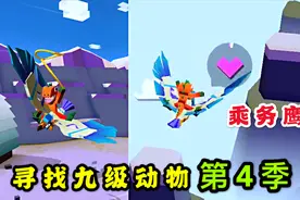 疯狂动物园：寻找九级动物第4季，山脉中的九级老鹰