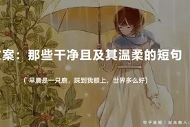 文案：那些干净且及其温柔的短句视频封面