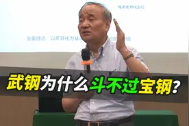宝钢和武钢，同样是卖钢材，为何宝钢赚60亿，而武钢赔60亿？视频封面