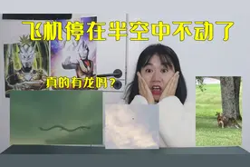 无法解释的现象，飞机飞在半空中停止了，这是咋回事？视频封面