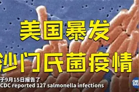 美国至少29个州暴发沙门氏菌疫情 数百人已感染视频封面