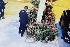 “浇”个朋友！男子酒后倒在花坛 被路过男子一泡尿浇醒视频封面