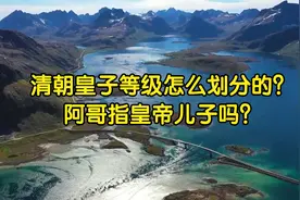 清朝皇子等级怎么划分的？阿哥指皇帝儿子吗？视频封面