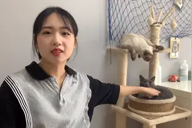 美女主人今天做了个测试，猫咪听到声音后，发飙了！视频封面