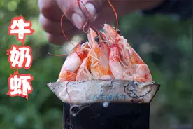 自制网红美食牛奶虾，直接放到牛奶盒子里烤着吃，原汁原味，真香视频封面