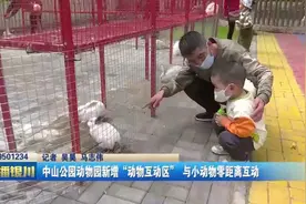 中山公园动物园新增“动物互动区”与小动物零距离互动视频封面