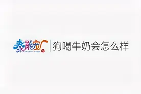 狗喝牛奶会怎样？