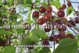 健合集团旗下Swisse斯维诗助力消费者追逐健康生活方式视频封面