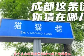有人说虎作为姓应该读mao，成都有条街道因为有虎被叫成了猫猫巷