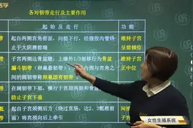 子宫韧带：圆韧带、阔韧带、主韧带、子宫骶骨韧带的位置及功能视频封面