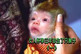 七个老婆同时生孩子，有一个却生了只猴子视频封面