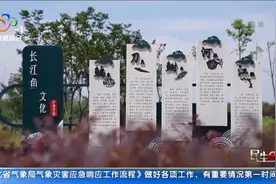 江夏：金口建成我市首个禁渔文化主题公园视频封面