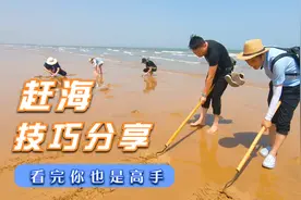 到日照旅游，教你一些赶海小技巧，看完后你也是赶海高手！视频封面