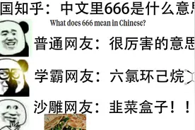 美国知乎：中文里“666”是什么意思？沙雕网友：韭菜盒子！