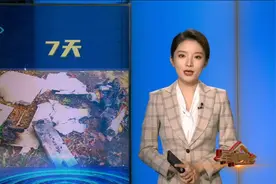 “黑马”有多“黑” 俄乌冲突中的自杀式无人机视频封面